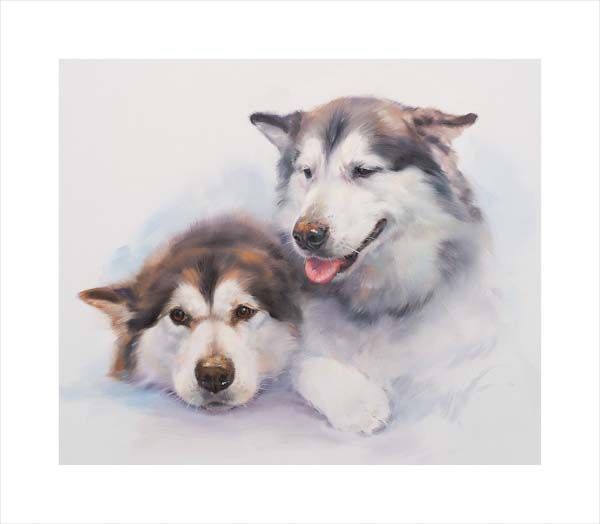 Dogs - Alaskan Malamutes - JS 592 | Jacqueline Stanhope Fine Art